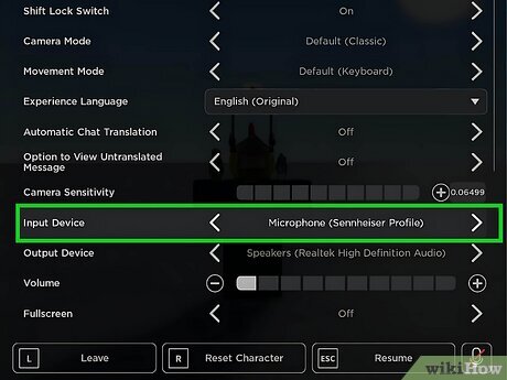 Why Is My Laptop Camera And Microphone Not Working